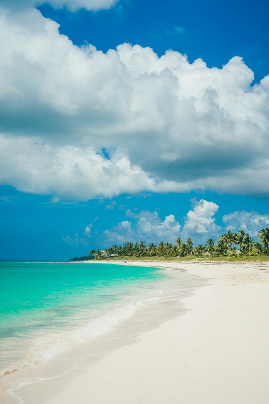 Why Andros? A Personal Story of Inspiration and Perseverance