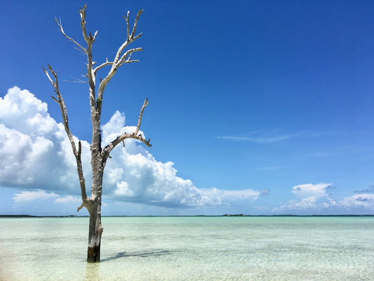 Top 5 Bahamian Islands to Explore for Surf and Sand